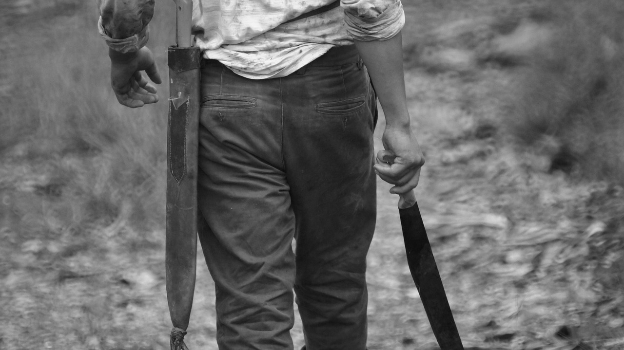 Machette de débroussaillage